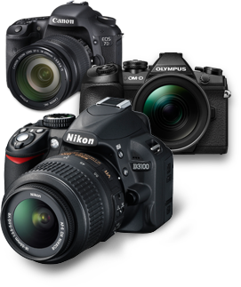 cameras